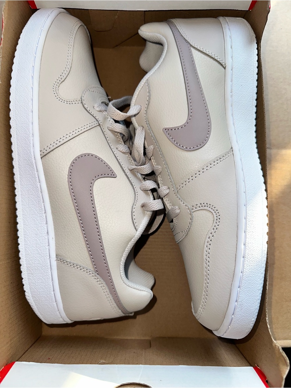 Nike Ebernon Low